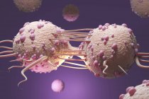 Teilung von Krebszellen, digitale Illustration. — Stockfoto