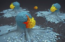 3d ilustración de células cancerosas atacadas y asesinadas por linfocitos . - foto de stock