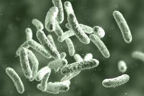 Digital illustration of rod-shaped bacteria colony. — Stock Photo