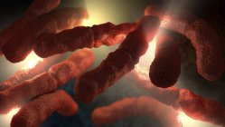 3D-Illustration der extremen Nahaufnahme roter stäbchenförmiger Bakterien. — Stockfoto