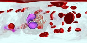 Панорамна ілюстрація кровоносних судин з еозинофілією з численними еозинофілами білих кров'яних клітин, антипаразитарною імунною системою . — стокове фото