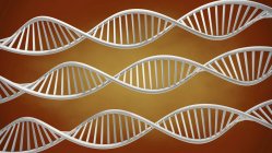Helical DNA molecules, digital illustration. — Stock Photo