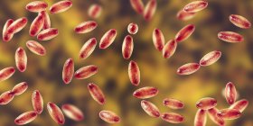 Грам-негативні бактерії Yersinia РПД з біполярним фарбуванням, цифрова ілюстрація. — стокове фото