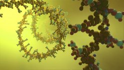 Ácido nucleico, ilustración digital abstracta
. - foto de stock