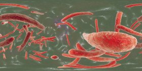 Цифрова ілюстрація мікобактерій туберкульозу грам-позитивних стрижневих бактерій, що викликають захворювання туберкульозу. — стокове фото