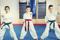 Crianças em Taekwondo lutando postura. Imagem tonificada . — Fotografia de Stock