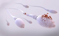 Ilustración 3d de espermatozoides dañados en esperma humano . - foto de stock