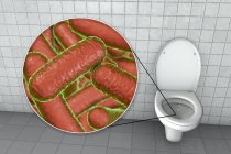 Toilettenmikroben auf verunreinigter Sitzfläche, konzeptionelle digitale Illustration. — Stockfoto