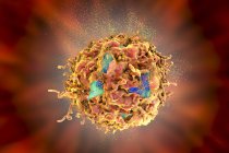 Zerstörung von Krebszellen, digitale konzeptionelle Illustration zur Behandlung von Krebs durch Medikamente, Nanopartikel und Antikörper. — Stockfoto