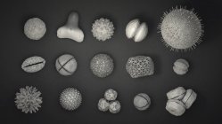 3D ілюстрація розмаїття різних зерен пилку. — стокове фото