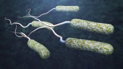 Ilustração 3d de patógenos da cólera na água poluída escura
. — Fotografia de Stock