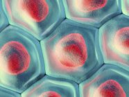 Ilustración en 3D de primer plano del patrón de células azules con núcleos rojos . - foto de stock
