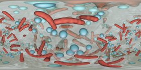 Bactéries sphériques et en forme de tige à l'intérieur du biofilm, panorama à 360 degrés, illustration numérique . — Photo de stock