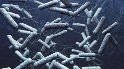 Illustrazione 3d di agenti patogeni del colera in acqua blu scuro
. — Foto stock