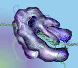 Crispr-cas9 Gene-Editing-Komplex in DNA und Zellen, konzeptionelle Illustration. — Stockfoto