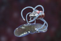 Digitale Illustration von Nanorobotern, die stäbchenförmiges Bakterium tragen. — Stockfoto