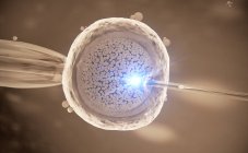 3d иллюстрация экстракорпорального оплодотворения яйцеклетки . — стоковое фото