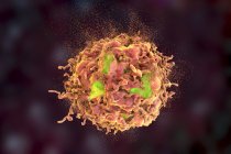 Destrucción de células cancerosas, ilustración conceptual digital que ilustra el tratamiento del cáncer por fármacos, nanopartículas y anticuerpos . - foto de stock