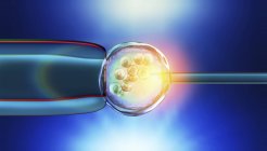 Conceptual 3d illustration of artificial insemination, in vitro fertilization of human egg cell. — Stock Photo