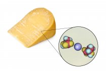 Cristales de lactato cálcico en la superficie del queso con ilustración digital de cerca de la molécula de lactato cálcico . - foto de stock