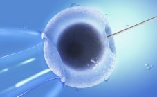 Ilustração 3d conceitual da inseminação artificial, fertilização in vitro de óvulos humanos . — Fotografia de Stock