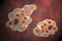 Entamoeba gingivalis agent pathogène parasitaire protozoaires unicellulaires, amibes dans la cavité buccale, illustration numérique
. — Photo de stock