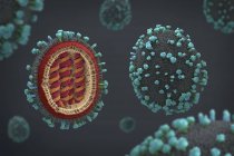 3d иллюстрация патогена гриппа в поперечном сечении . — стоковое фото