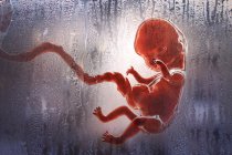 Abortion of human fetus, conceptual digital illustration. — Stock Photo