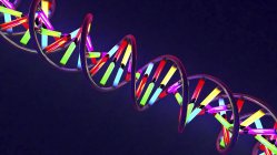 Молекула ДНК з різнокольоровими елементами, цифрова ілюстрація . — стокове фото