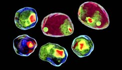 Cellules colorées en couleurs de cytométrie de flux d'imagerie, illustration numérique conceptuelle
. — Photo de stock