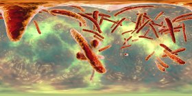 Illustrazione digitale di Mycobacterium tuberculosis batteri gram-positivi a forma di asta che causano la tubercolosi malattia
. — Foto stock