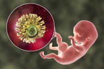 Профілактика транспластичної передачі ВІЛ-інфекції людському ембріону від інфікованої матері, концептуальна ілюстрація . — стокове фото