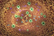Illustration 3D des particules virales et des villosités intestinales . — Photo de stock