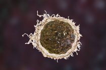 Ракові клітини, наукова цифрова ілюстрація . — стокове фото