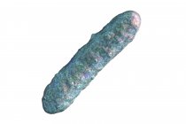 Digital illustration of rod-shaped bacterium on white background. — Stock Photo