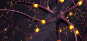Illustration numérique 3D de la transmission des cellules nerveuses . — Photo de stock