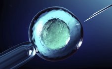 Концептуальная 3D иллюстрация искусственного оплодотворения, экстракорпоральное оплодотворение яйцеклетки человека . — стоковое фото