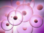 Illustrazione 3d di cellule trasparenti con nuclei su sfondo viola . — Foto stock