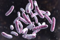 Цифровая иллюстрация колонии бактерий в форме стержней
. — стоковое фото