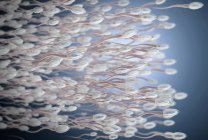 3d illustration of human sperm cells in reproductive process. — Stock Photo