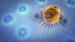 3d ilustración de linfocitos atacando las células cancerosas en el cuerpo humano . - foto de stock