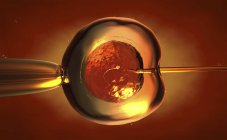 Illustration conceptuelle en 3D de l'insémination artificielle, fécondation in vitro d'ovules humains . — Photo de stock