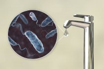 Ilustração conceitual mostrando bactérias Vibrio cholerae em gota de água da torneira . — Fotografia de Stock