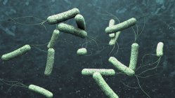 3D ілюстрація збудників холери в темно-зелена вода. — стокове фото