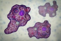 Entamoeba gingivalis parasita patógeno protozoários unicelulares, amebas na cavidade oral, ilustração digital . — Fotografia de Stock