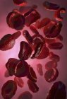 3d ilustración de eritrocitos de glóbulos rojos . - foto de stock