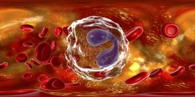 Эозинофильные лейкоциты в кровеносных сосудах, цифровая иллюстрация, показывающая лопающиеся ядра
. — стоковое фото
