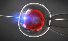 Konzeptionelle 3D-Illustration der künstlichen Befruchtung, in vitro-Fertilisation menschlicher Eizellen. — Stockfoto