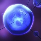 Illustrazione 3d di feti gemelli geneticamente modificati in bolla trasparente blu e cannula . — Foto stock