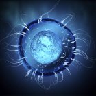 Прозорі клітини сперми, що рухаються в напрямку круглого синього кольору яйцеклітина. — стокове фото